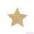 BIJOUX - INDISCRETS FLASH GOLDEN STAR NIPPLE COVERS