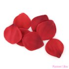 EXTASE SENSUAL - RED TEMPTATION CHEST