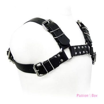 LEATHER BODY - BLACK BULL DOG HARNESS