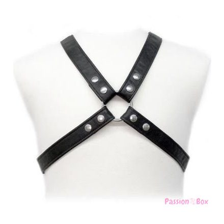 LEATHER BODY - LASIC HARNESS IN GARMENT