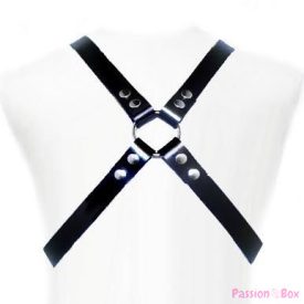 LEATHER BODY - BASIC HARNESS