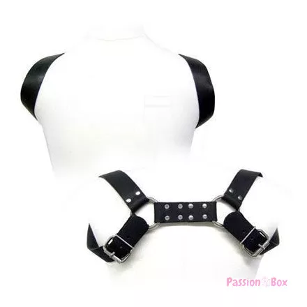 LEATHER BODY - HOLSTER HARNESS