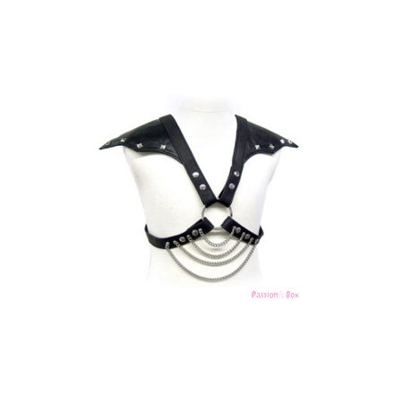 LEATHER BODY - METAL AND SHOULDERS