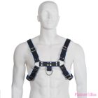 LEATHER BODY - BLUE AND BLACK LEATHER HARNESS CHEST BULLDOG