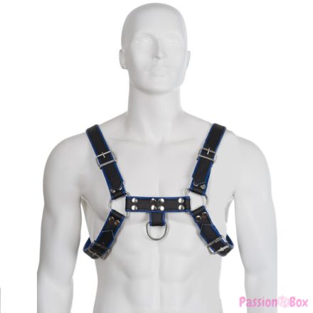 LEATHER BODY - BLUE AND BLACK LEATHER HARNESS CHEST BULLDOG