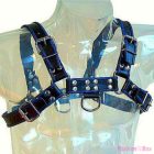 LEATHER BODY - BLUE AND BLACK LEATHER HARNESS CHEST BULLDOG