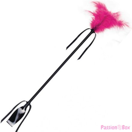 SECRETPLAY - BLACK AND FUCHSIA WHIP & FEATHER