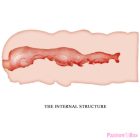 CRAZY BULL - ISABEL VAGINA MASTURBATOR 13.5 CM