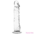 X RAY - CLEAR COCK 21 CM -O- 4 CM