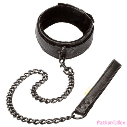 CALEXOTICS - BOUNDLESS COLLAR AND LEASH