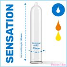 PASANTE - CONDOMS TROPICAL BAG 144 UNITS