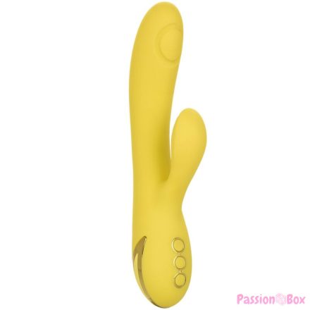 CALEXOTICS - SAN DIEGO SEDUCTION