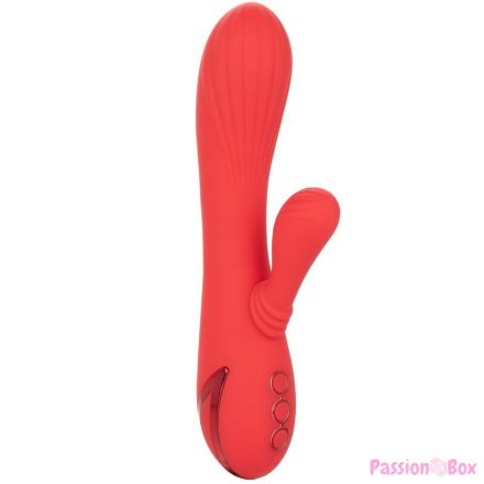 CALEXOTICS - PALISADES PASSION RED