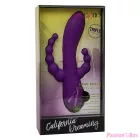 CALEXOTICS - LONG BEACH BOOTYLICIOUS PURPLE