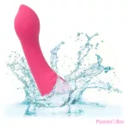 CALEXOTICS - PIXIES TEASER PINK