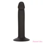 CALEXOTICS - SLIM ANAL STUD