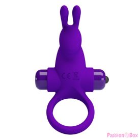 PRETTY LOVE - VIBRATOR RING I RABBIT FOR PURPLE PENIS