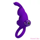 PRETTY LOVE - VIBRATOR RING I RABBIT FOR PURPLE PENIS