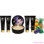 SHUNGA - SECRET GEISHA EXOTIC FRUITS