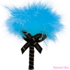 SHUNGA - EDIBLE COCONUT MASSAGE POWDER KIT