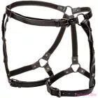 CALEXOTICS - EUPHORIA PLUS SIZE RIDING THIGH HARNESS