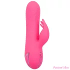 CALEXOTICS - SACRAMENTO SWEETIE VIBRATOR RABBIT PINK BY CALIFORNIA DREAMING