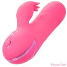 CALEXOTICS - SACRAMENTO SWEETIE VIBRATOR RABBIT PINK BY CALIFORNIA DREAMING