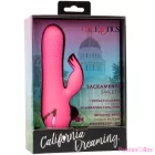 CALEXOTICS - SACRAMENTO SWEETIE VIBRATOR RABBIT PINK BY CALIFORNIA DREAMING