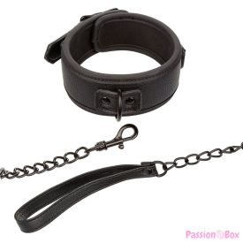   CALEXOTICS - NOCTURNAL COLLAR & LEASH LEATHER ADJUSTABLE BLACK