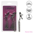 CALEXOTICS - EUPHORIA CHAIN NIPPLE CLAMPS 14.5 CM
