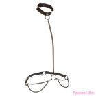 CALEXOTICS - EUPHORIA CHAIN HALTER COLLAR & LEASH