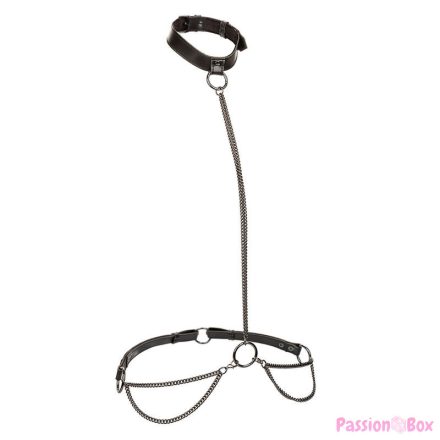CALEXOTICS - EUPHORIA CHAIN HALTER COLLAR & LEASH