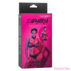 CALEXOTICS - EUPHORIA CHAIN HALTER COLLAR & LEASH