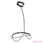 CALEXOTICS - EUPHORIA CHAIN HALTER COLLAR & LEASH PLUS SIZE