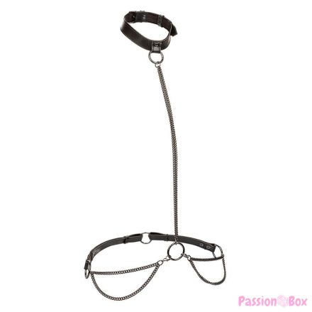 CALEXOTICS - EUPHORIA CHAIN HALTER COLLAR & LEASH PLUS SIZE