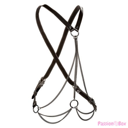 CALEXOTICS - EUPHORIA MULTICHAIN HARNESS PREMIUM PLUS SIZE