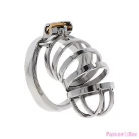 HIDDEN DESIRE - EXTREME CHASTITY COCK CAGE METAL