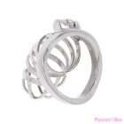 HIDDEN DESIRE - EXTREME CHASTITY COCK CAGE METAL