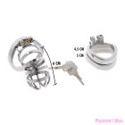 HIDDEN DESIRE - EXTREME CHASTITY COCK CAGE METAL