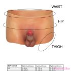 HIDDEN DESIRE - ALTER EGO BOXERSHOT WITH PENIS 18 CM SIZE L