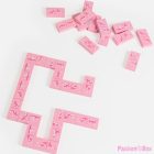 SECRETPLAY - KINKY DOMINO WOODEN GAME