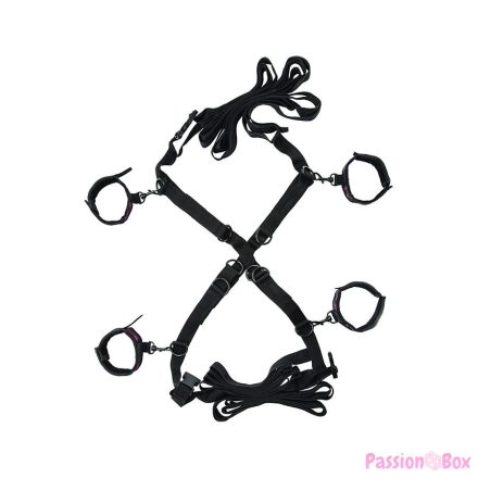 CALEXOTICS - SCANDAL SET OF CROSS BED TIES