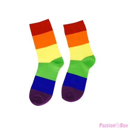 PRIDE - LGBT SOCKS SIZE L/XL
