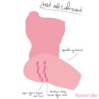 HIDDEN DESIRE - BIG COLLEGE FUCK SLUT FEMALE MASTURBATOR TORSO 15 KG